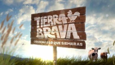 Photo of Tierra Brava Capitulo 41 Completo Online